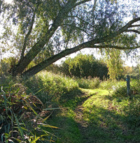 Beccles Riverside Path Beccles Riverside Path